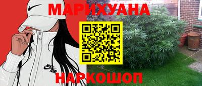 сатива Кинель