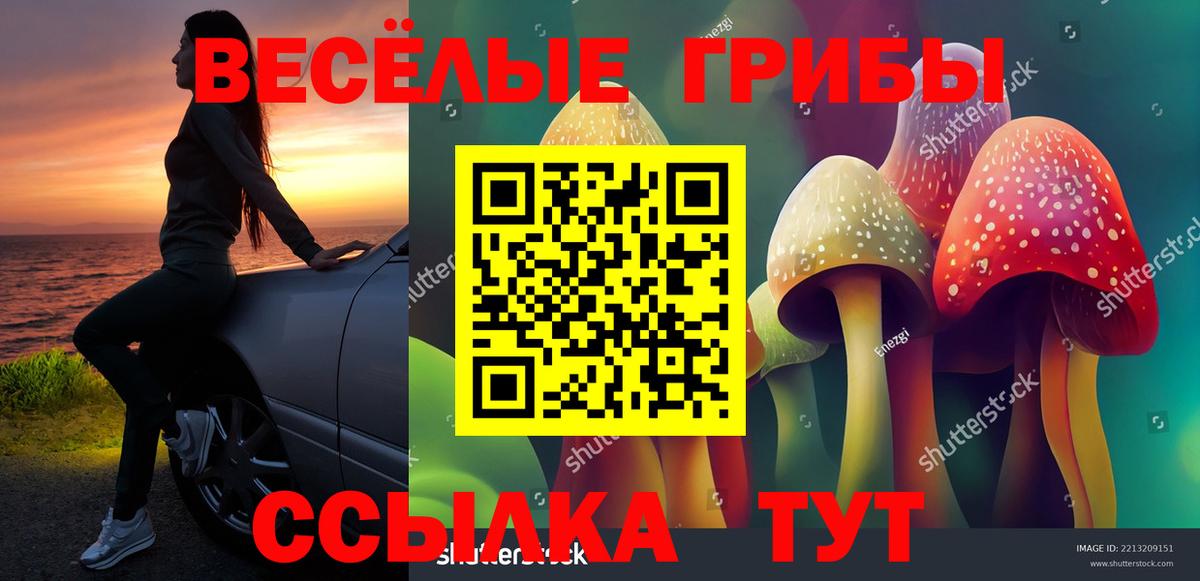 закладка  Псилоцибиновые грибы мицелий  Вход с VPN  Костомукша  Псилоцибиновые грибы мухоморы 